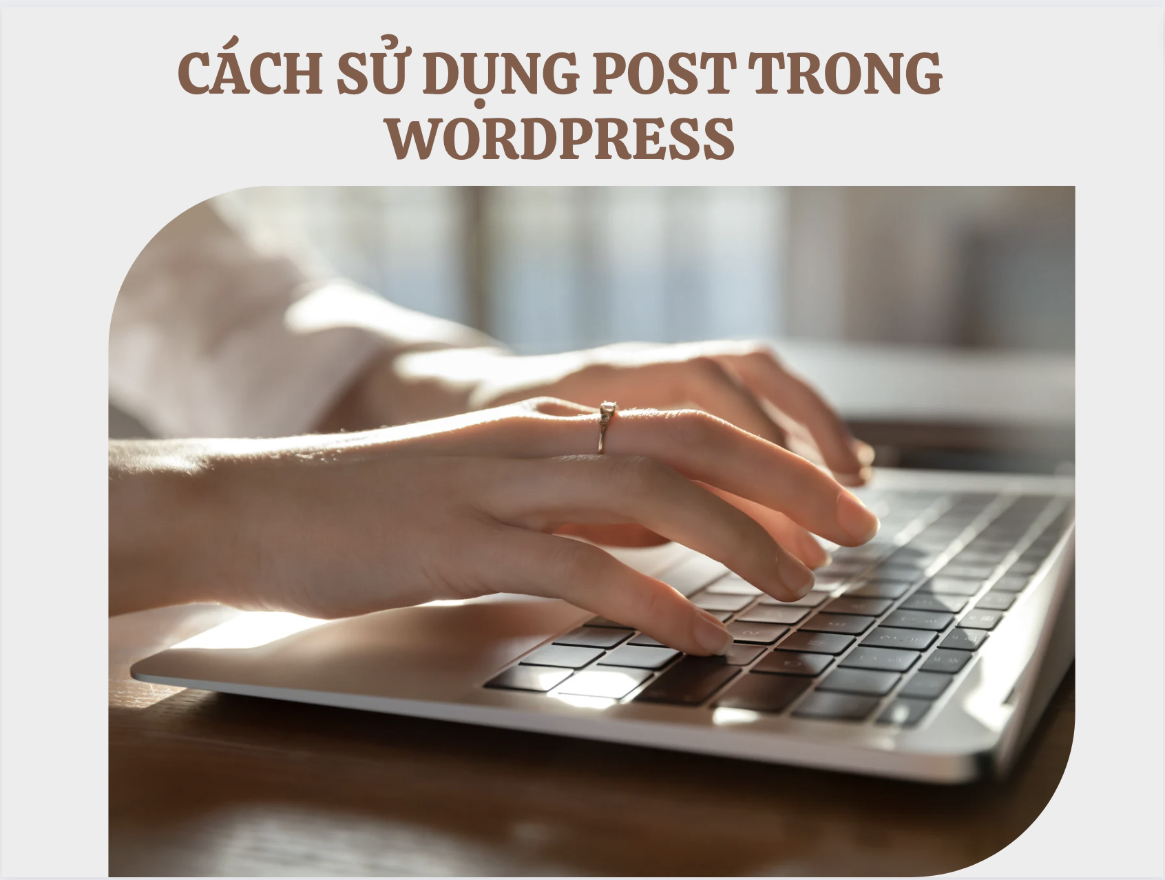Cách sử dụng Post trong Wordpress