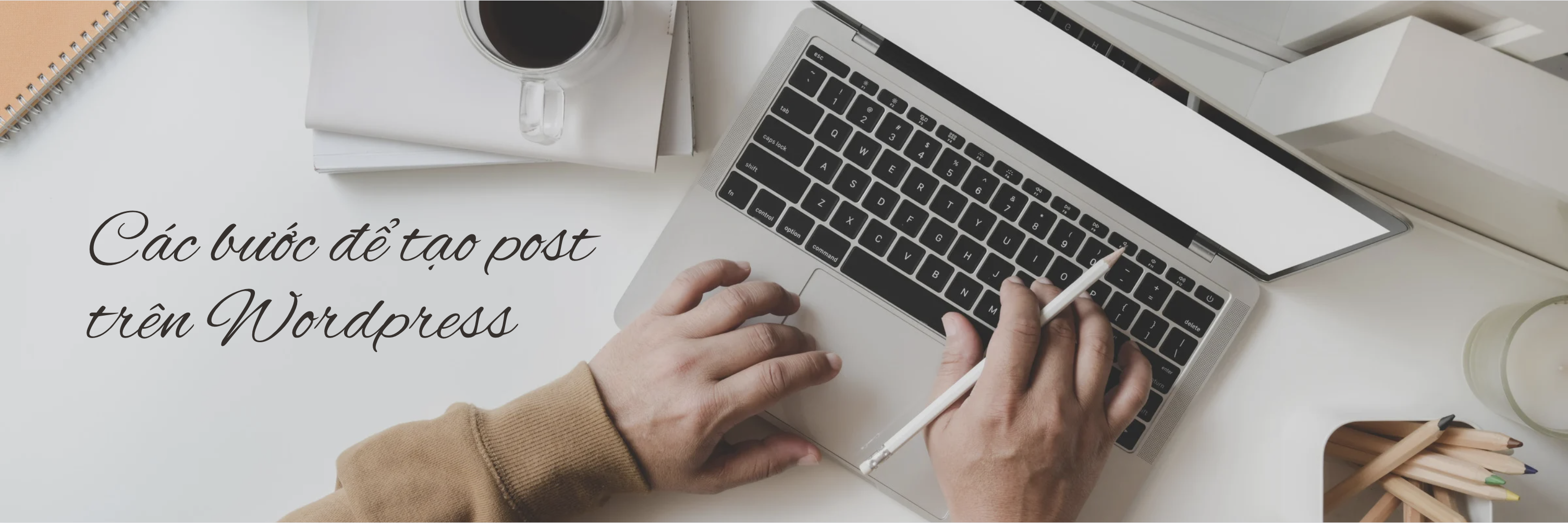 Cách sử dụng Post trong Wordpress
