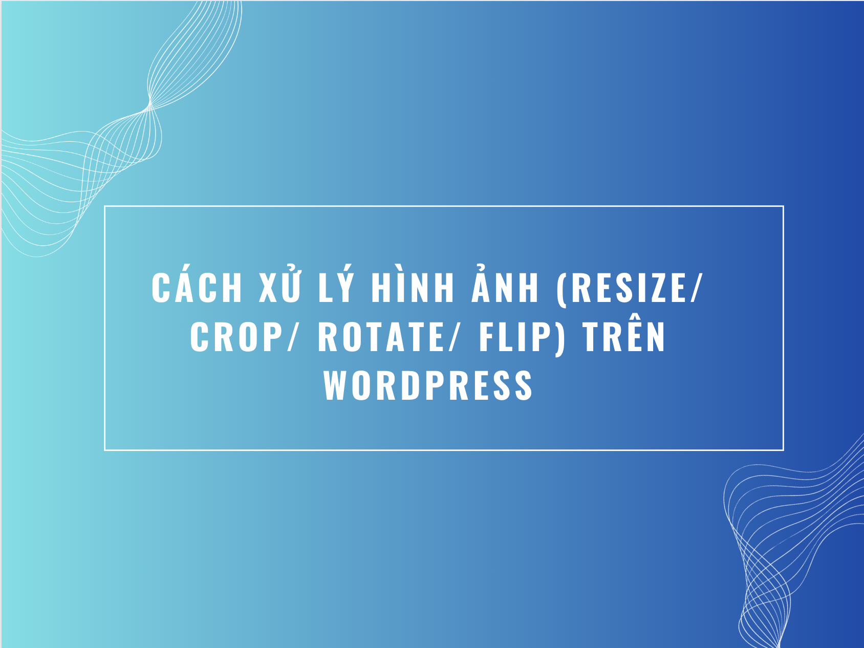 Cách xử lý hình ảnh (resize/ crop/ rotate/ flip) trên Wordpress