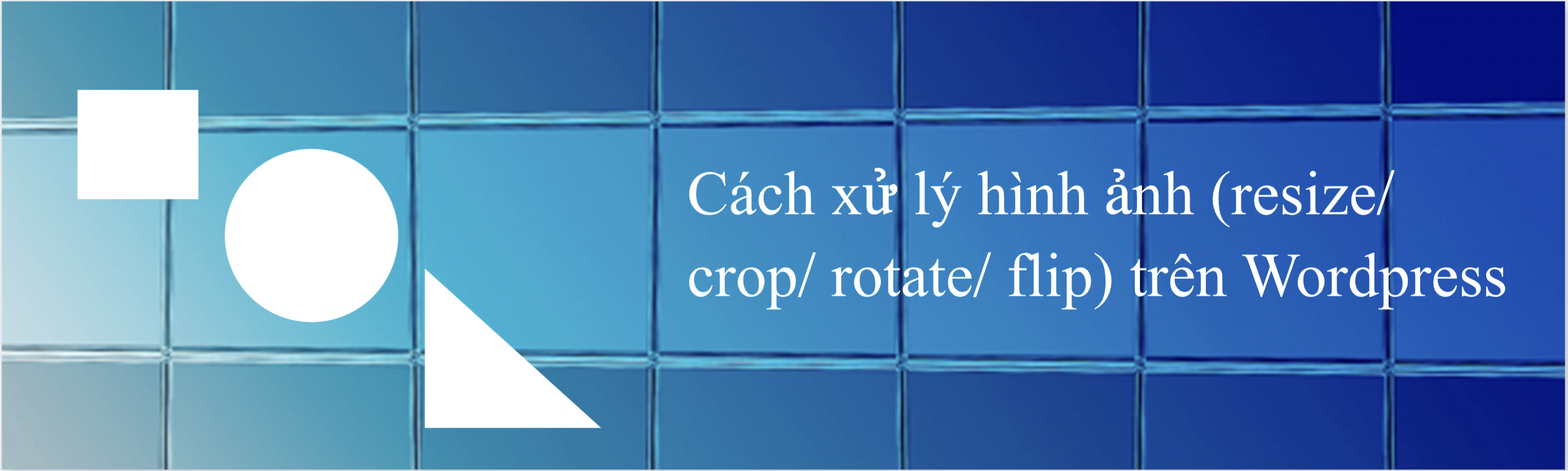 Cách xử lý hình ảnh (resize/ crop/ rotate/ flip) trên Wordpress